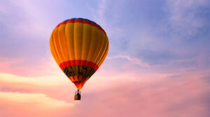 reset your organization for a post COVID future