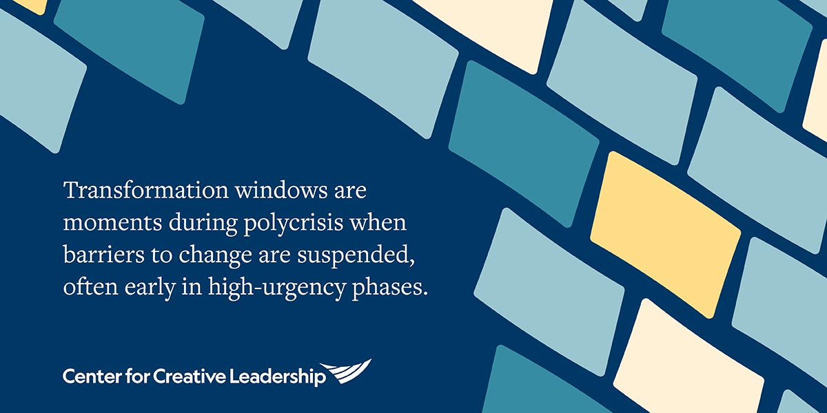 Transformation windows are moments during polycrisis when barriers to change are suspended, often early in high-urgency phases.