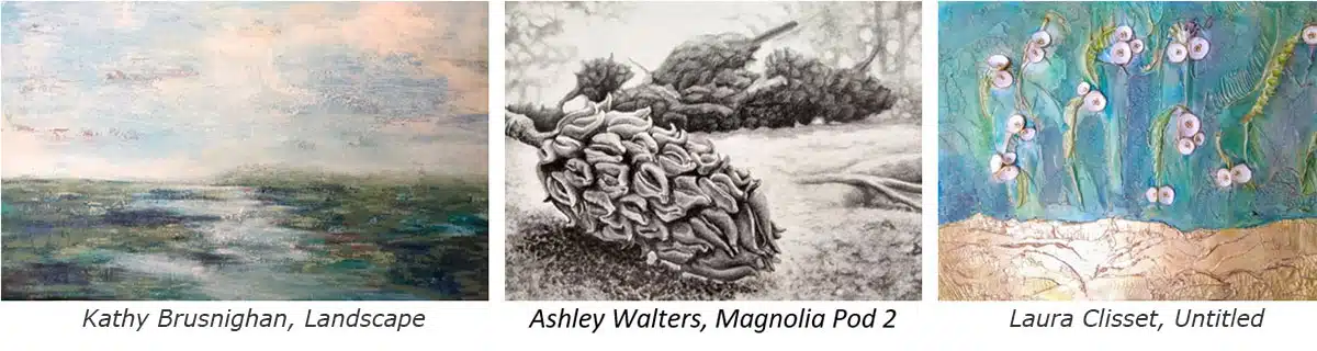 Unexpected Treasures collection by NC artists at CCL