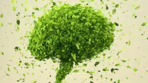 The Real Key to an Innovative Organization: Continuous Innovation