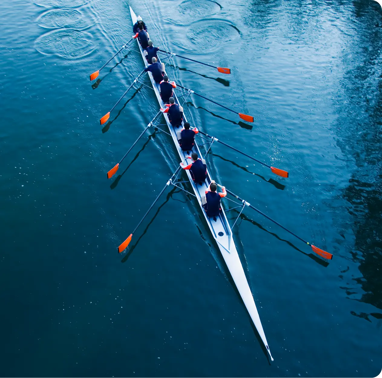 Photo of several people rowing together as a team to illustrate collective leadership in disruption